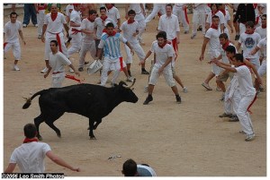 running-of-bulls-spain
