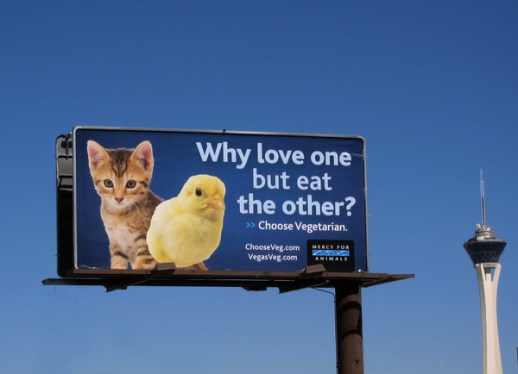 why-love-one-but-eat-the-other-vegetarian-billboard-kitten-vesus-chick