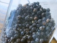 whole-peppercorns-in-bag-