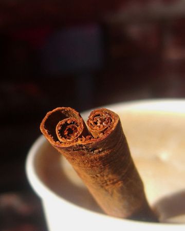whole-cinnamon-stick-coming-out-of-mug-of-hot-chocolate