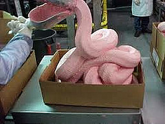 pink-slime-good-for-increasing-corporate-profits-while-risking-consumer-health