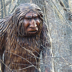 ancient-man-different-diet-millions-years-ago