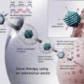 gene-therapy-using-virus-as-vehicle-for-correct-gene-instructions