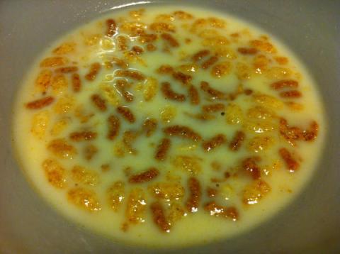 resembling-nasty-harmful-bacteria-in-poultry