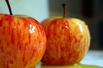 RENOVATING-YOUR-MIND-does-produce-pic-of-2-wet-shiny-apples-delicious-maybe-not