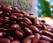 RENOVATING-Your-Mind-kidney-beans-look-like-human-kidney-excess-protein-not-included