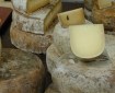 RENOVATING-YOUR-MIND-GETS SHARP-ABOUT CHEESE-pic-of cheese-in-nature
