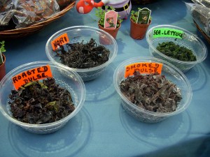 RENOVATING-YOUR-MIND-looks-at-iodine-high-amounts-found-in-sea-vegetables