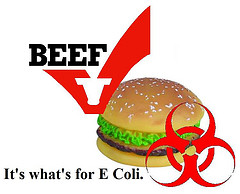 burger-beef-contamination-with-ecoli